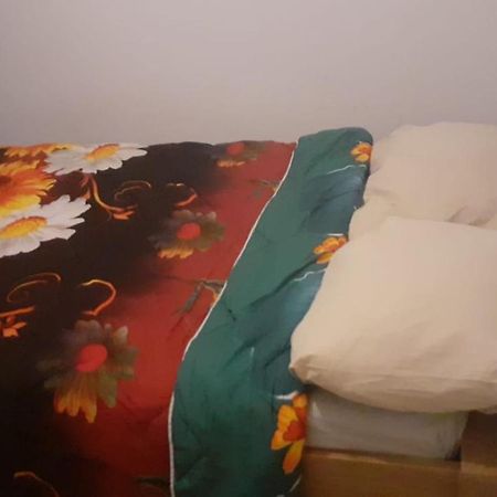 Lovely 1 Private Bedroom With Garden View Róterdam Exterior foto